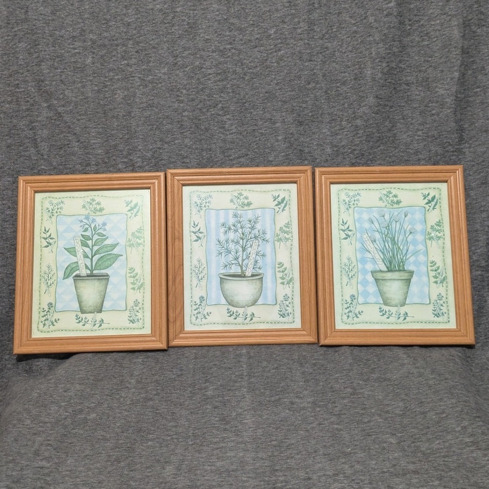 Set of 3 Vintage Robin Betterley Herb Art Prints Glass Framed 11.5x9.5